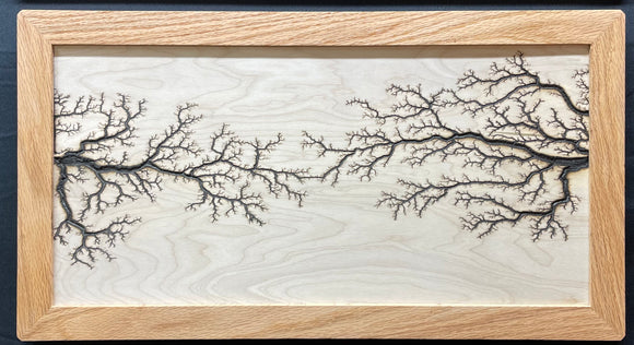 A07 - Electrocuted Birch Wood Art